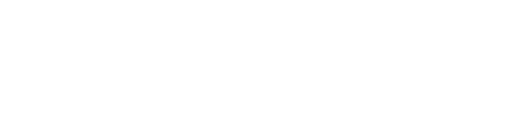 MAXZLINCONCITY