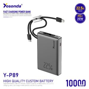 Power Bank Y-P89