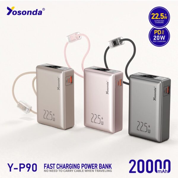 Power Bank Y-P90